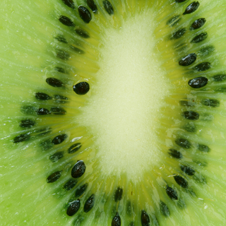 Close-up of a kiwi fruit slice showing its green flesh and black seeds.