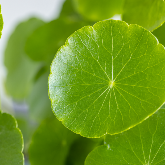 Clarifying Foaming Cleanser with Hyaluronic Acid, Cica & Niacinamide