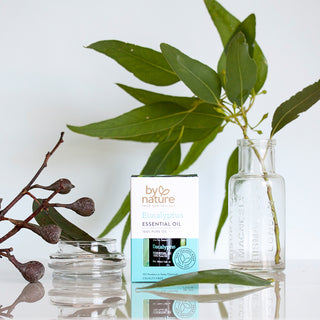 Eucalyptus Essential Oil